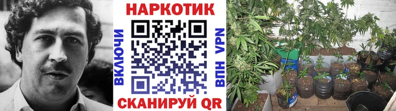 Наркошоп Болхов МАРИХУАНА  Альфа ПВП  Бутират  Меф 