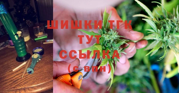 ECSTASY Рославль