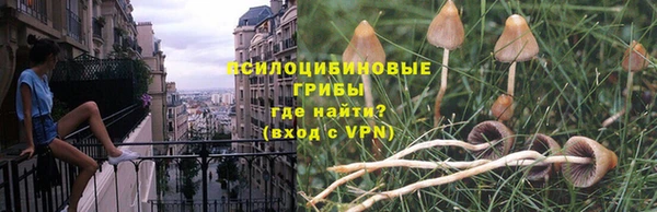 мет Россошь