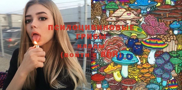 шишки Ростов
